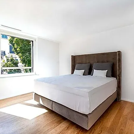 Dhg Luxury Zurich-wollishofen Hotel 3*